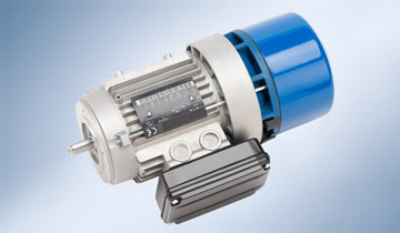 LT / HT & DC Electric Motors.