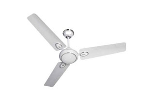 Ceiling Fans