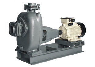 Self Priming Sewage Coupled Pump Sets