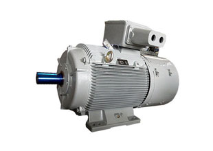 SPDP & TEFC Slip ring Motors